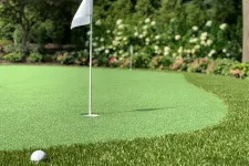 Thumbnail for a golf ball on a green golf course