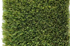 Thumbnail for a close up of a green grass