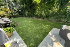 Thumbnail for a backyard with a grass yard