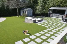 Thumbnail for a dog lying on a green lawn
