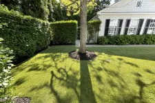 Thumbnail for a person's shadow on a lawn in front of a house