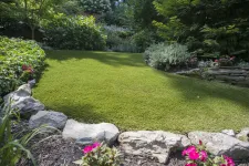 Thumbnail for a green lawn with flowers and rocks