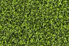 Thumbnail for a close up of some grass