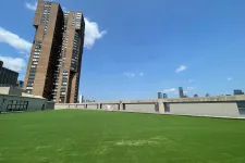 Thumbnail for a grassy area with buildings in the background