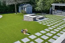 Thumbnail for a dog lying on a lawn