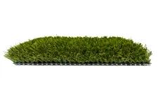 Thumbnail for a green grass field