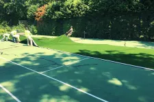 Thumbnail for a group of people playing tennis