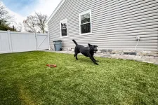 Thumbnail for a dog running in a yard