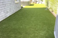 Thumbnail for a backyard with a green lawn