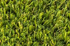 Thumbnail for a close up of some grass