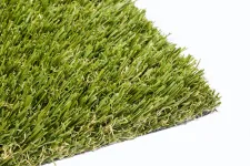 Thumbnail for a close-up of some grass