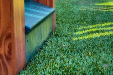 Thumbnail for a grassy area with a bench