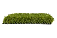 Thumbnail for a close-up of a green grass