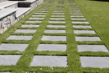 Thumbnail for a green lawn with a stone walkway