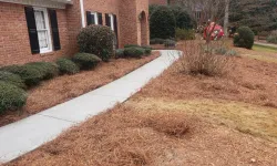 Thumbnail control image for a driveway with bushes and a house