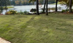 Thumbnail control image for a grassy area with trees and a body of water in the background