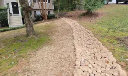 Thumbnail control image for a small path with rocks and grass