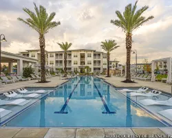a pool with palm trees and a building in the background
