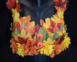 a bra display