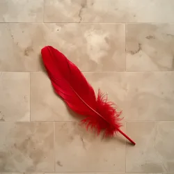 Bright red feather resting on a beige textured stone tile floor with natural cracks and patterns.