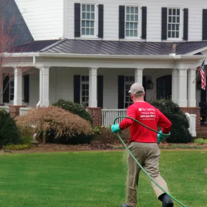 team member treating lawn