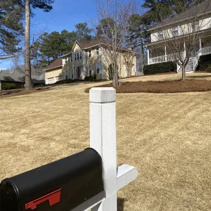 dormant lawn