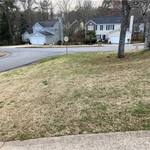 lawn going into dormancy