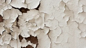Close-up of cracked and peeling white paint on a surface revealing dark brown material beneath.