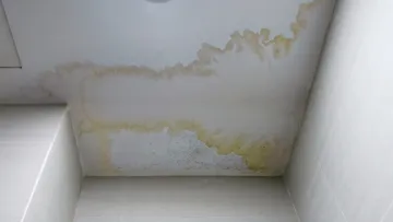 Bathroom ceiling with severe water damage and mold stains around a ceiling light fixture.