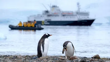 Two penguins on rocky shore with a blurry expedition ship and people in a zodiac boat in the icy ocean background.