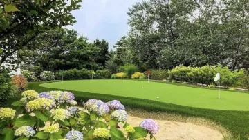 a garden with flowers