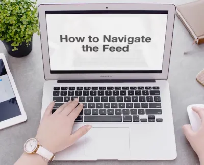 How to Navigate the Feed