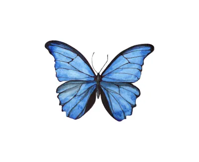 ¿Cómo les explico lo que es Blue Butterfly a mis niños?