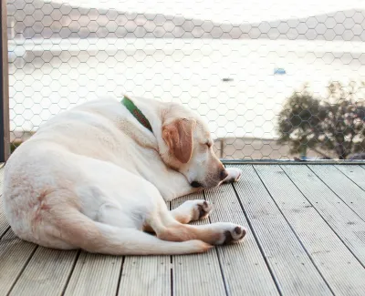 Is Your Deck Happy or Sad?