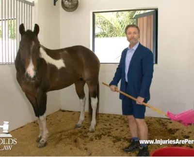 Man in suit and shorts cleaning horse stall holding a pink rake beside a brown and white horse.