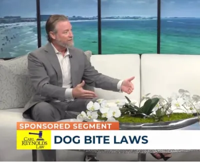 Man and woman discuss dog bite laws on a TV talk show set with ocean backdrop and floral centerpiece.