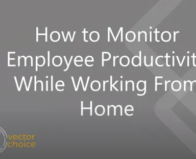 Text slide reading How to Monitor Employee Productivity While Working From Home with Vector Choice logo on gray background