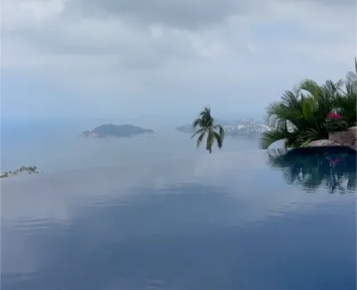 The View