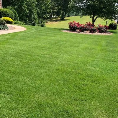 15+ Grassmasters Lawn Care - ValessieFreddy