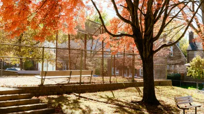 a park with benches