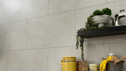 Wall-mounted black shelves with houseplants, cleaning supplies including yellow jar, rubber gloves, and tins.