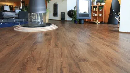 Spacious room with warm wood flooring, modern suspended fireplaces, and cozy seating area with plants.
