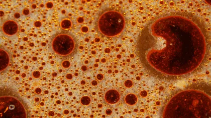 Close-up of various sized orange oil droplets suspended in liquid with textured background.