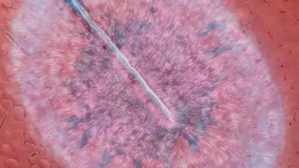 Microscopic view of a needle injecting liquid into a single round cell against a red background.