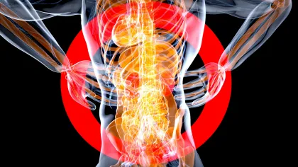 Transparent human torso with highlighted spine and digestive organs over red pain target areas on black background
