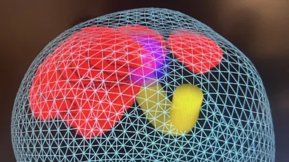 3D wireframe model with colored internal shapes in red, purple, and yellow on a dark background