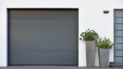 a garage door with plants in it