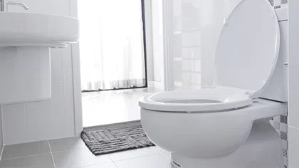 Clean and modern bathroom featuring a white toilet and sink against a bright, airy backdrop.