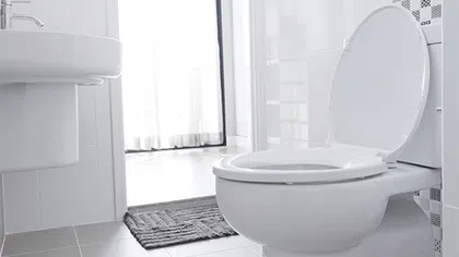 Clean and modern bathroom featuring a white toilet and sink against a bright, airy backdrop.