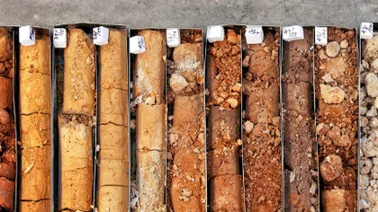 Vertical soil core samples in metal boxes showing layers of different soil types and textures for analysis.